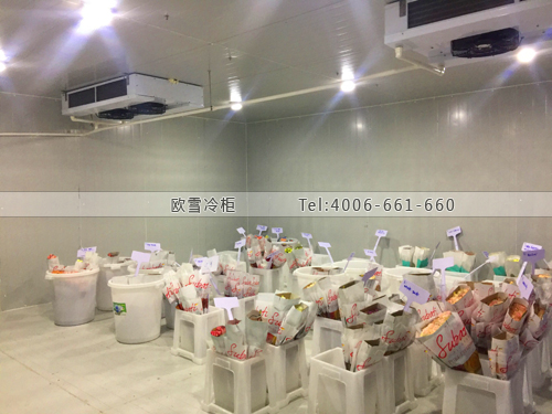 鮮花基地保鮮庫.jpg 鮮花基地保鮮庫.jpg