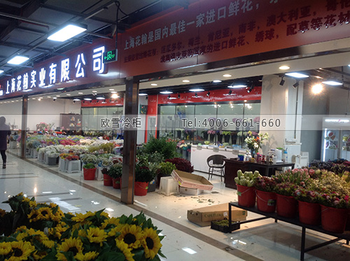 鮮花冷庫(kù)設(shè)計(jì)安裝.jpg 鮮花冷庫(kù)設(shè)計(jì)安裝.jpg