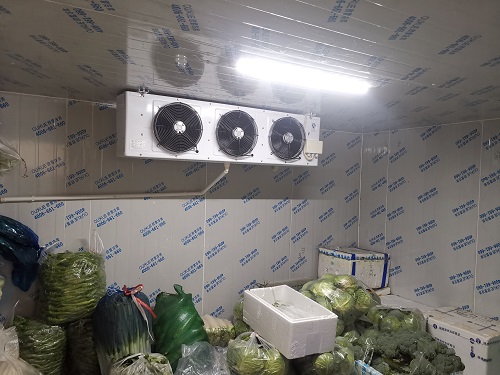 蔬菜保鮮冷庫.jpg 蔬菜保鮮冷庫.jpg
