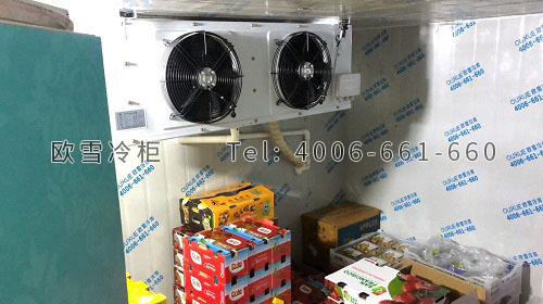 水果保鮮冷庫(kù)安裝.jpg 水果保鮮冷庫(kù)安裝.jpg