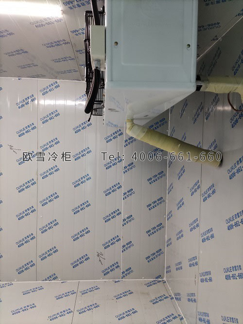 工業(yè)冷庫.jpg 工業(yè)冷庫.jpg
