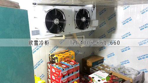 小型水果保鮮冷庫(kù).jpg 小型水果保鮮冷庫(kù).jpg