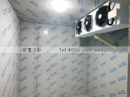 建一個冷藏庫需要多少錢.jpg