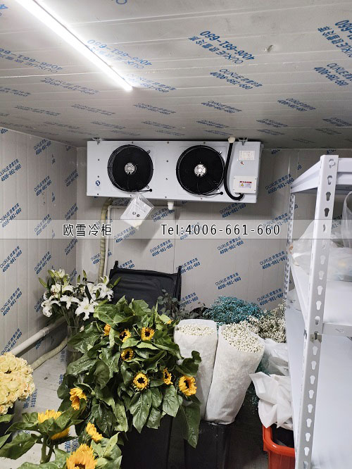 鮮花保鮮冷庫建設(shè)多少錢一平米.jpg