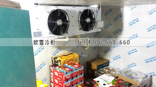 水果保鮮冷庫(kù).jpg 水果保鮮冷庫(kù).jpg