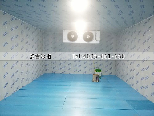 冷庫(kù)建設(shè)成本需要多少錢(qián)一平米.jpg