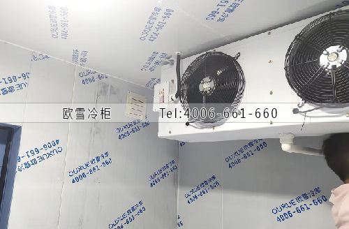 水果保鮮庫.jpg 水果保鮮庫.jpg