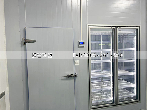 小型醫(yī)藥冷藏冷庫安裝.jpg