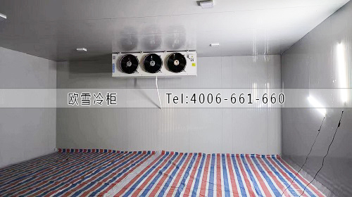 凍庫(kù)建造廠家.jpg