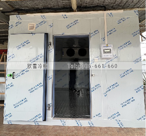 1735377473887573.jpg 5-1.jpg