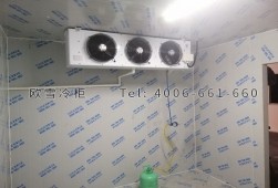 冷庫(kù)建設(shè)多少錢一平方？小型冷庫(kù)工程安裝建造