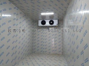 振新(重慶)農(nóng)業(yè)科技開發(fā)有限公司電商物流倉儲(chǔ)冷庫安裝