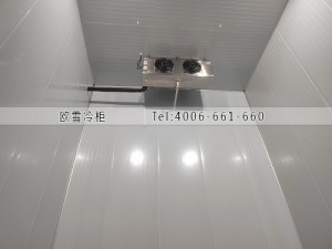 湖南長沙200立方工業(yè)材料冷凍冷庫安裝案例