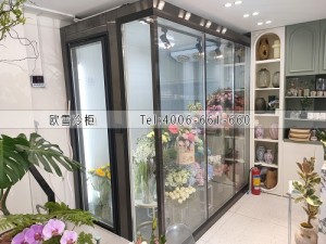 福建廈門花店小型玻璃冷庫(kù)安裝案例