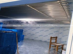 清遠(yuǎn)鋁排管直冷冷凍冷庫(kù)安裝案例