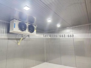 重慶200立方食品雙溫冷庫安裝案例